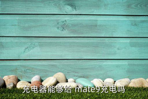 充電器能夠給 mate9充電嗎
