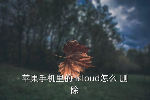 如何刪除icloud數(shù)據(jù),將iCloud的照片數(shù)據(jù)刪除會怎么樣