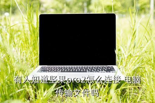 有人知道堅(jiān)果pro2怎么連接 電腦傳輸文件嗎