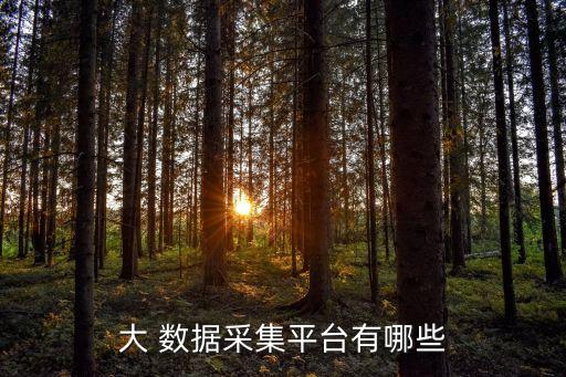 大數據的網站有哪些,第三方數據網站有哪些