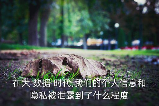 大數(shù)據(jù)時代的個人發(fā)現(xiàn),論大數(shù)據(jù)時代的個人信息保護(hù)