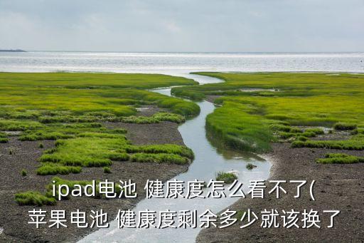 ipad蘋(píng)果健康數(shù)據(jù)來(lái)源,蘋(píng)果IPAD如何查看電池健康