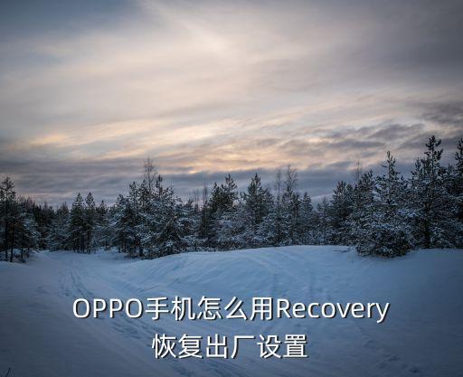 oppo刷機(jī)保留數(shù)據(jù)