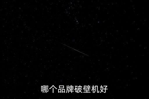 哪個(gè)品牌破壁機(jī)好