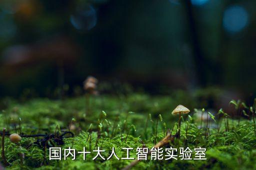 國內(nèi)十大人工智能實(shí)驗(yàn)室