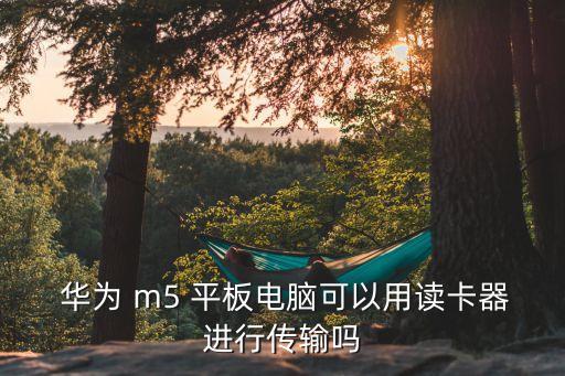  華為 m5 平板電腦可以用讀卡器進(jìn)行傳輸嗎