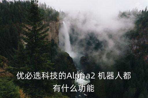 阿爾法機器人能干什么,優(yōu)必選阿爾法機器人怎么使用