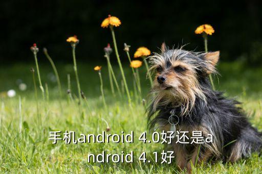 手機android 4.0好還是android 4.1好