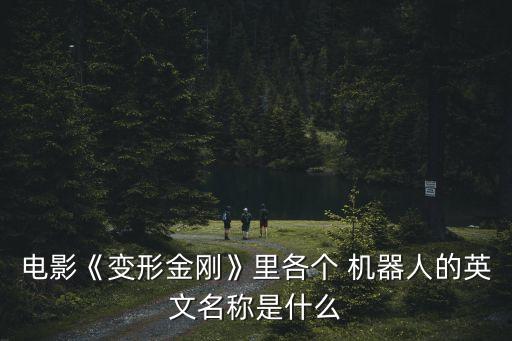 電影《變形金剛》里各個 機器人的英文名稱是什么