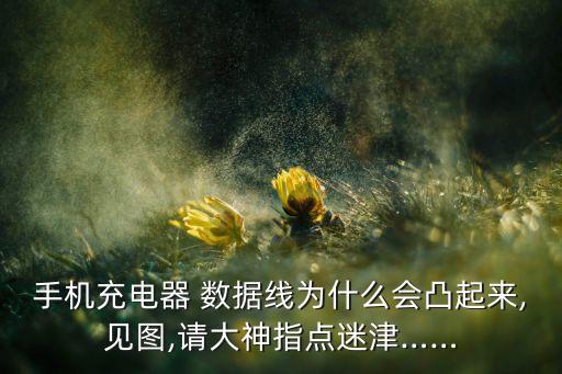 手機充電器 數(shù)據(jù)線為什么會凸起來,見圖,請大神指點迷津……