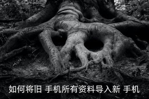 如何將舊 手機(jī)所有資料導(dǎo)入新 手機(jī)