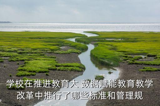 學(xué)校在推進(jìn)教育大 數(shù)據(jù)賦能教育教學(xué)改革中推行了哪些標(biāo)準(zhǔn)和管理規(guī)