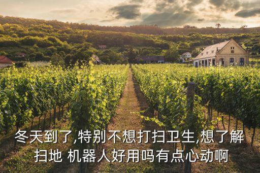 冬天到了,特別不想打掃衛(wèi)生,想了解 掃地 機(jī)器人好用嗎有點(diǎn)心動(dòng)啊