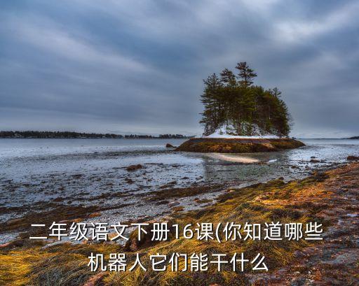 二年級(jí)語(yǔ)文下冊(cè)16課(你知道哪些 機(jī)器人它們能干什么