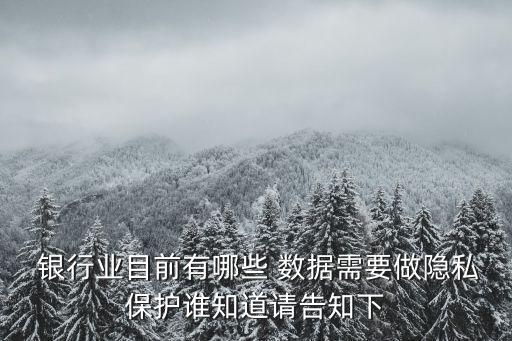  銀行業(yè)目前有哪些 數(shù)據(jù)需要做隱私保護誰知道請告知下