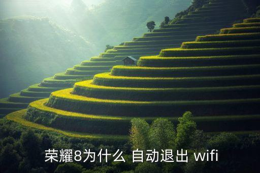  榮耀8為什么 自動退出 wifi