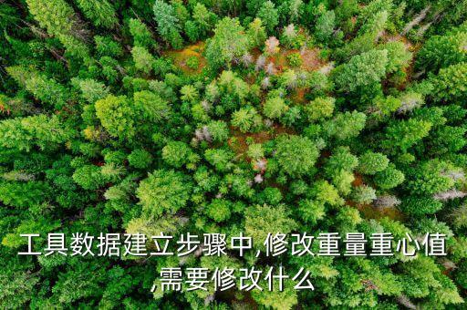 工具數(shù)據(jù)建立步驟中,修改重量重心值,需要修改什么