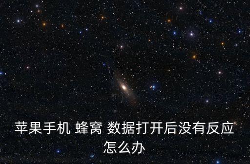 蘋果手機(jī) 蜂窩 數(shù)據(jù)打開后沒有反應(yīng)怎么辦