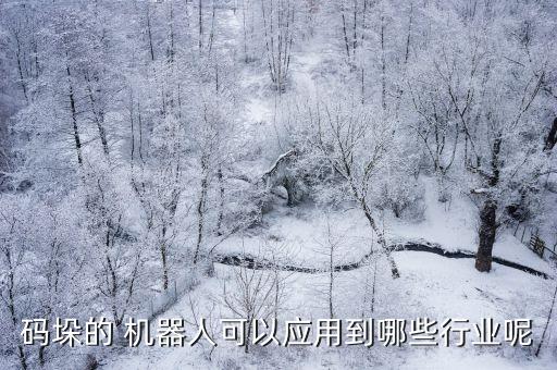 碼垛的 機(jī)器人可以應(yīng)用到哪些行業(yè)呢