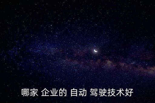 哪家 企業(yè)的 自動 駕駛技術(shù)好