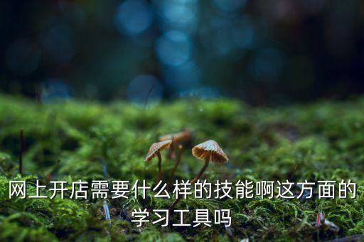 網(wǎng)上開(kāi)店需要什么樣的技能啊這方面的學(xué)習(xí)工具嗎