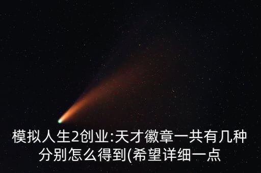 模擬人生2創(chuàng)業(yè):天才徽章一共有幾種分別怎么得到(希望詳細(xì)一點(diǎn)