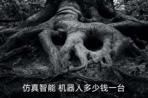 最便宜掃地機(jī)器人價格,抽獎掃地機(jī)器人便宜2300是真的嗎