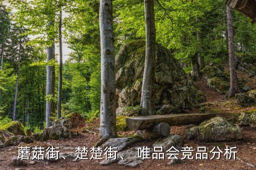唯品會用戶數據
