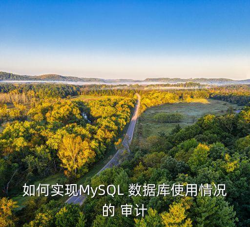 數(shù)據(jù)庫審計市場分析,中國 數(shù)據(jù)庫 市場分析