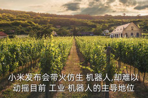 小米發(fā)布會(huì)帶火仿生 機(jī)器人,卻難以動(dòng)搖目前 工業(yè) 機(jī)器人的主導(dǎo)地位
