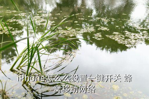 將蜂窩移動數(shù)據(jù)應(yīng)用于,為什么蜂窩移動數(shù)據(jù)開著卻沒網(wǎng)絡(luò)