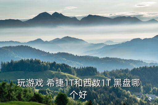 西部數(shù)據(jù) 黑盤 希捷