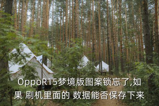 OppoR15夢(mèng)境版圖案鎖忘了,如果 刷機(jī)里面的 數(shù)據(jù)能否保存下來