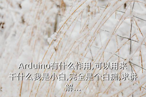 Arduino有什么作用,可以用來干什么我是小白,完全是個白癡,求講解...