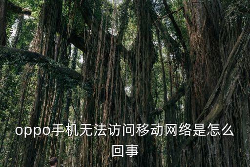ls990無(wú)法連接數(shù)據(jù),有數(shù)據(jù)網(wǎng)絡(luò)卻無(wú)法連接網(wǎng)絡(luò)