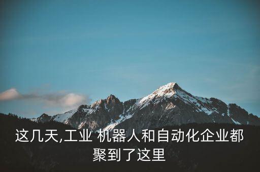 這幾天,工業(yè) 機(jī)器人和自動(dòng)化企業(yè)都聚到了這里