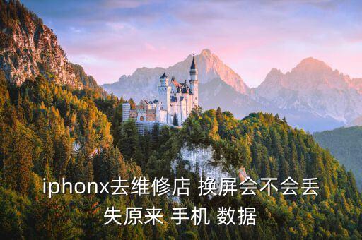 手機換屏后數(shù)據(jù),手機屏換一個多少錢