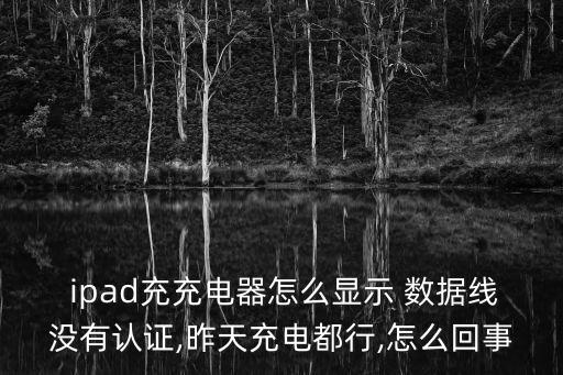 ipad 數(shù)據(jù)線 芯片,蘋(píng)果數(shù)據(jù)線芯片在什么位置