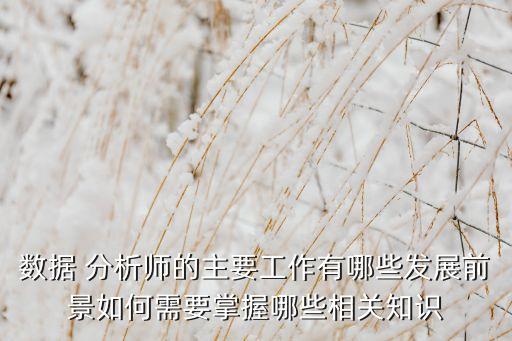 數(shù)據(jù) 分析師的主要工作有哪些發(fā)展前景如何需要掌握哪些相關(guān)知識