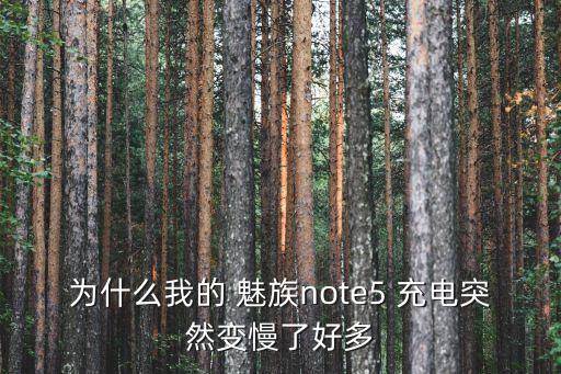 魅族數(shù)據線充電慢,魅族手機充電慢了怎么解決