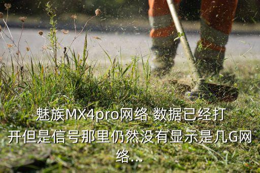 魅族MX4pro網(wǎng)絡(luò) 數(shù)據(jù)已經(jīng)打開但是信號那里仍然沒有顯示是幾G網(wǎng)絡(luò)...