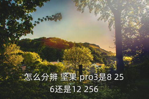 怎么分辨 堅(jiān)果 pro3是8 256還是12 256