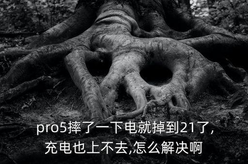  pro5摔了一下電就掉到21了,充電也上不去,怎么解決啊