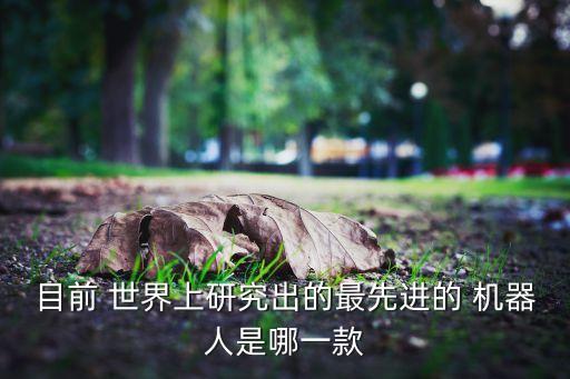 目前 世界上研究出的最先進(jìn)的 機(jī)器人是哪一款