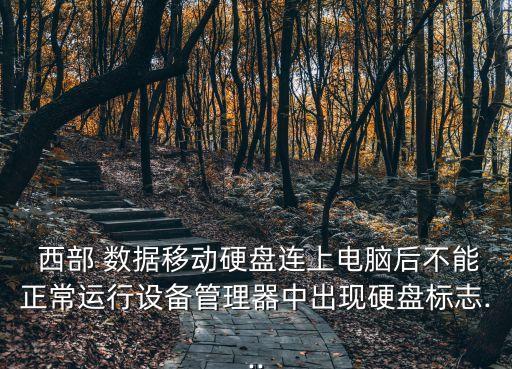  西部 數(shù)據(jù)移動硬盤連上電腦后不能正常運(yùn)行設(shè)備管理器中出現(xiàn)硬盤標(biāo)志...