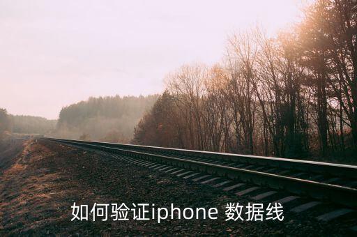 品勝蘋果6數(shù)據(jù)線認(rèn)證嗎,蘋果數(shù)據(jù)線品勝和綠聯(lián)哪個好