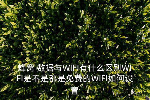 微信WiFi和數(shù)據(jù)區(qū)別,微信只能使用wifi不能使用數(shù)據(jù)流量