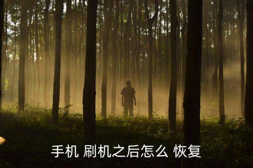 刷機(jī)數(shù)據(jù)怎么恢復(fù)出廠設(shè)置嗎,刷機(jī)后怎么恢復(fù)數(shù)據(jù)