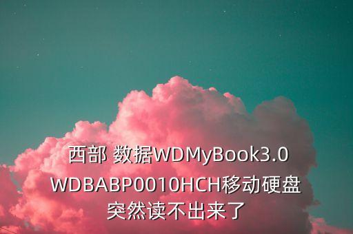 西部數(shù)據(jù)mybook 白燈