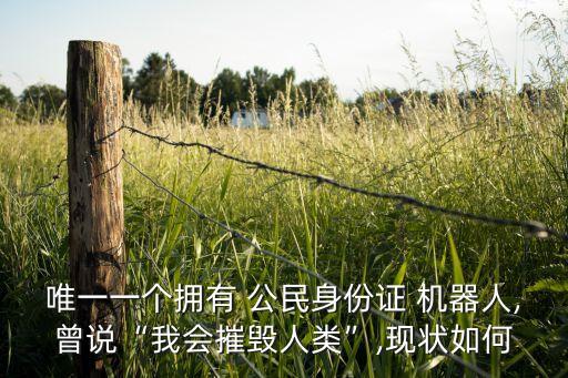 唯一一個擁有 公民身份證 機器人,曾說“我會摧毀人類”,現(xiàn)狀如何